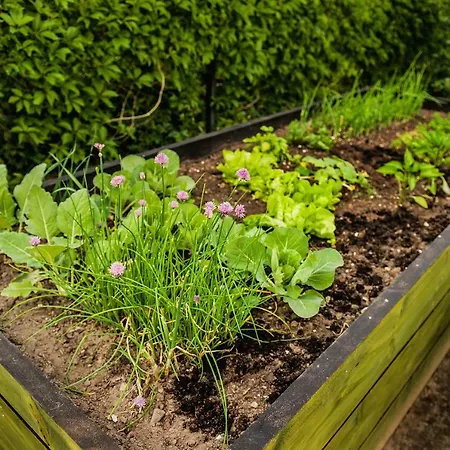 Jada Goscie Gasthuis Piasek (Pszczyna)