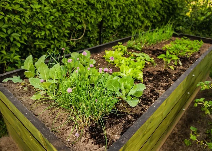 Jada Goscie Maison d'hôtes Piasek (Pszczyna)